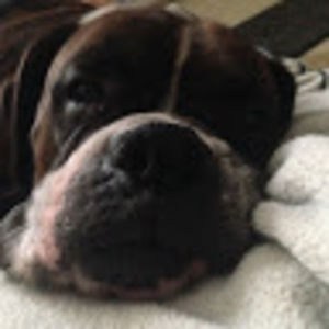 Meet your Posher, Aimee